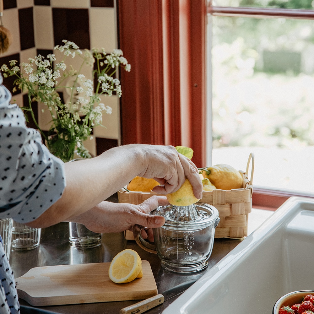 Citrus Squeezer