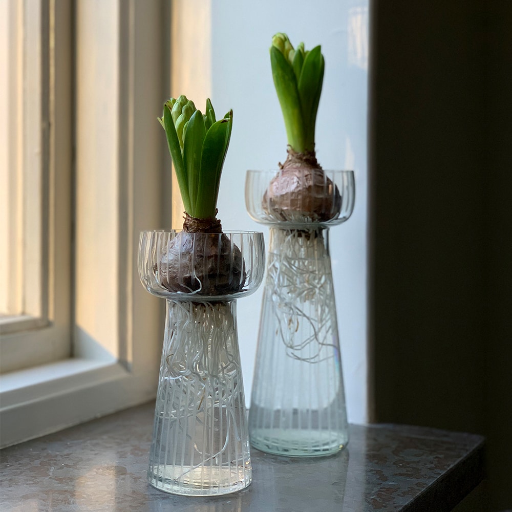Hyacinth Vase Etched Stripe Large