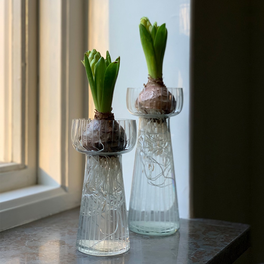 Hyacinth Vase Etched Stripe Small