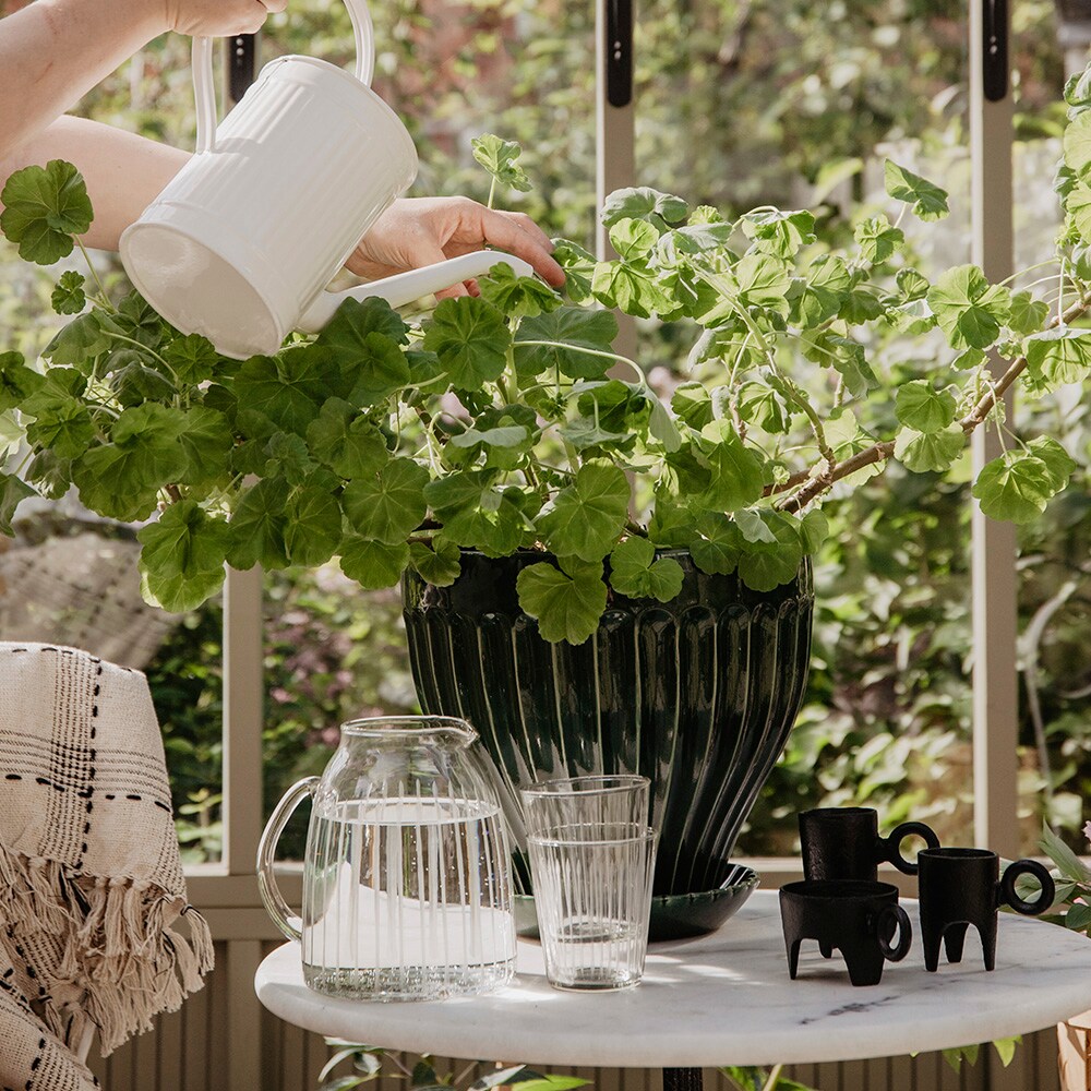 Glass Pitcher