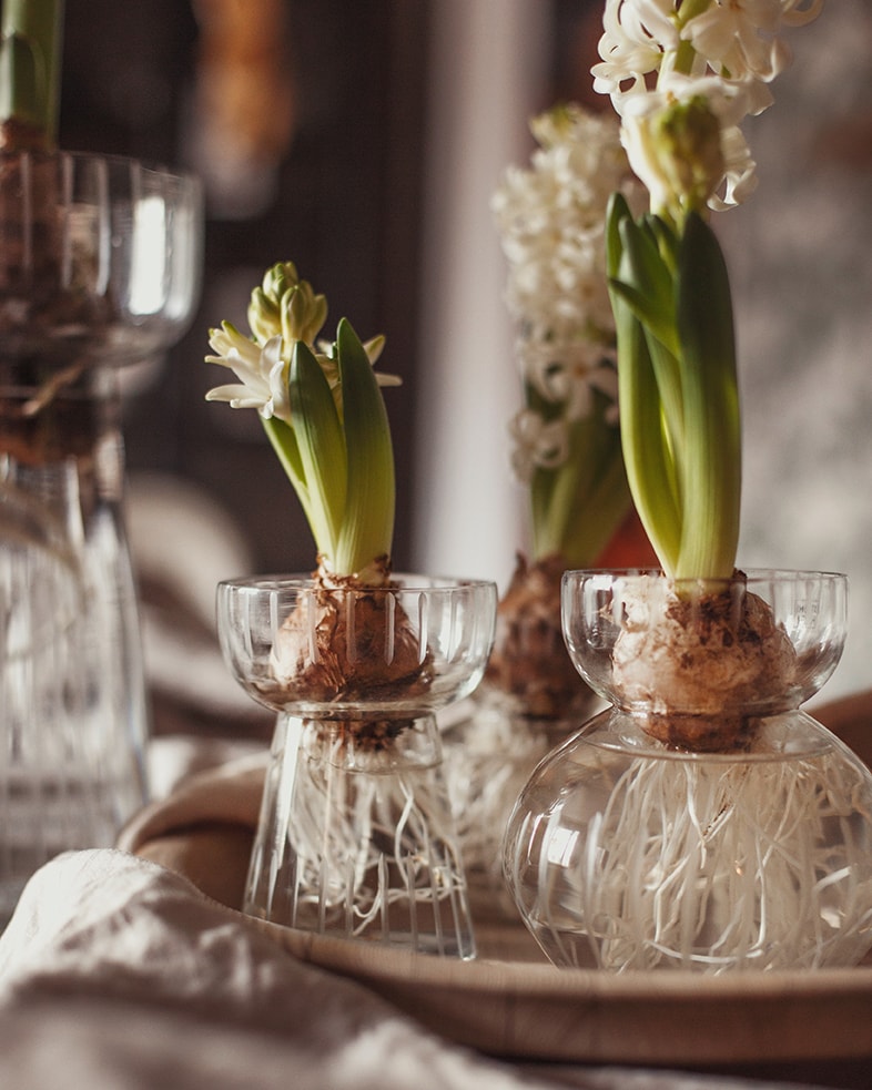 Hyacinth Vase Etched Stripe Low