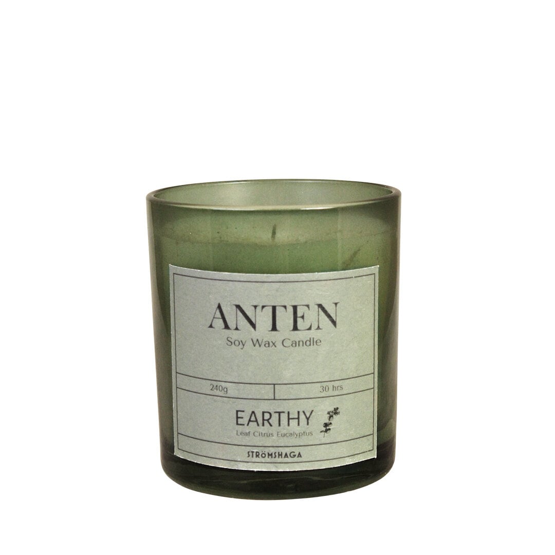 Doftljus Anten Earthy