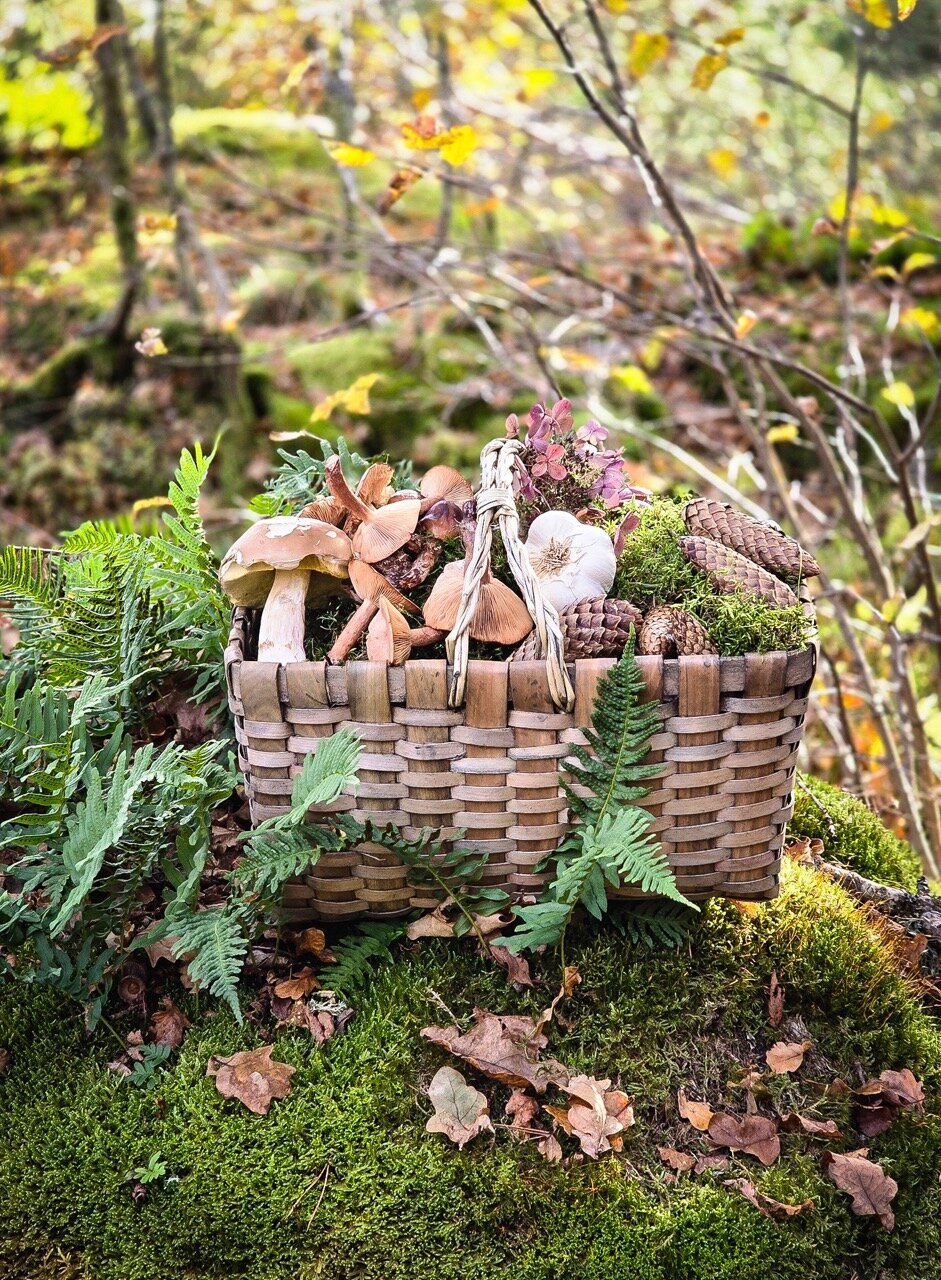 Wood Basket Kerstin w. Handle Grey Large