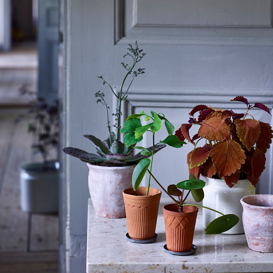 Small Clay Pot Medium