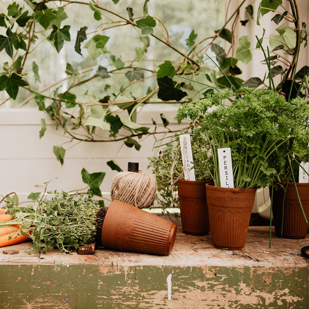 Small Clay Pot Large