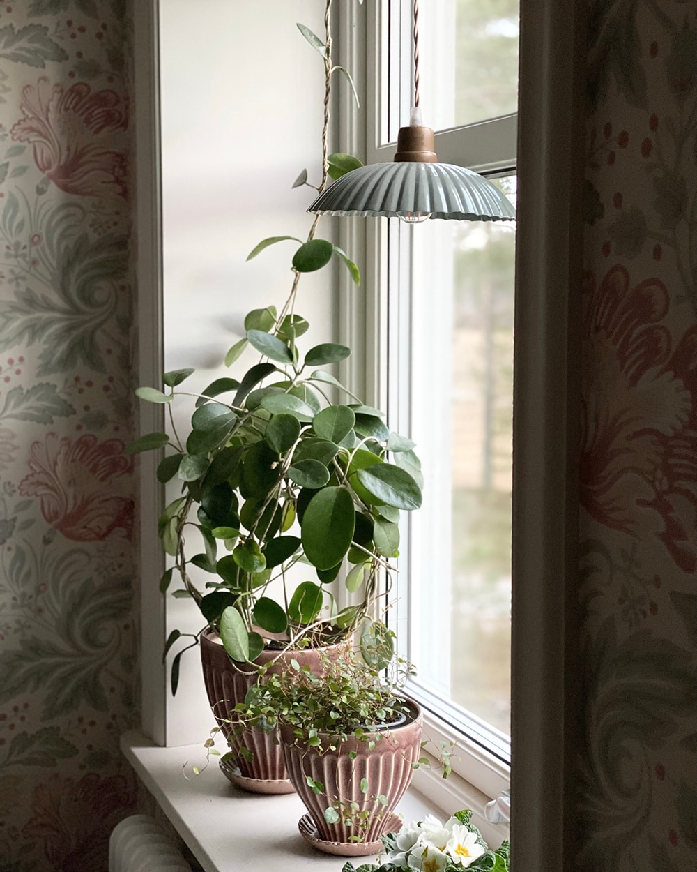 Kruka Anna 21 cm Askrosa