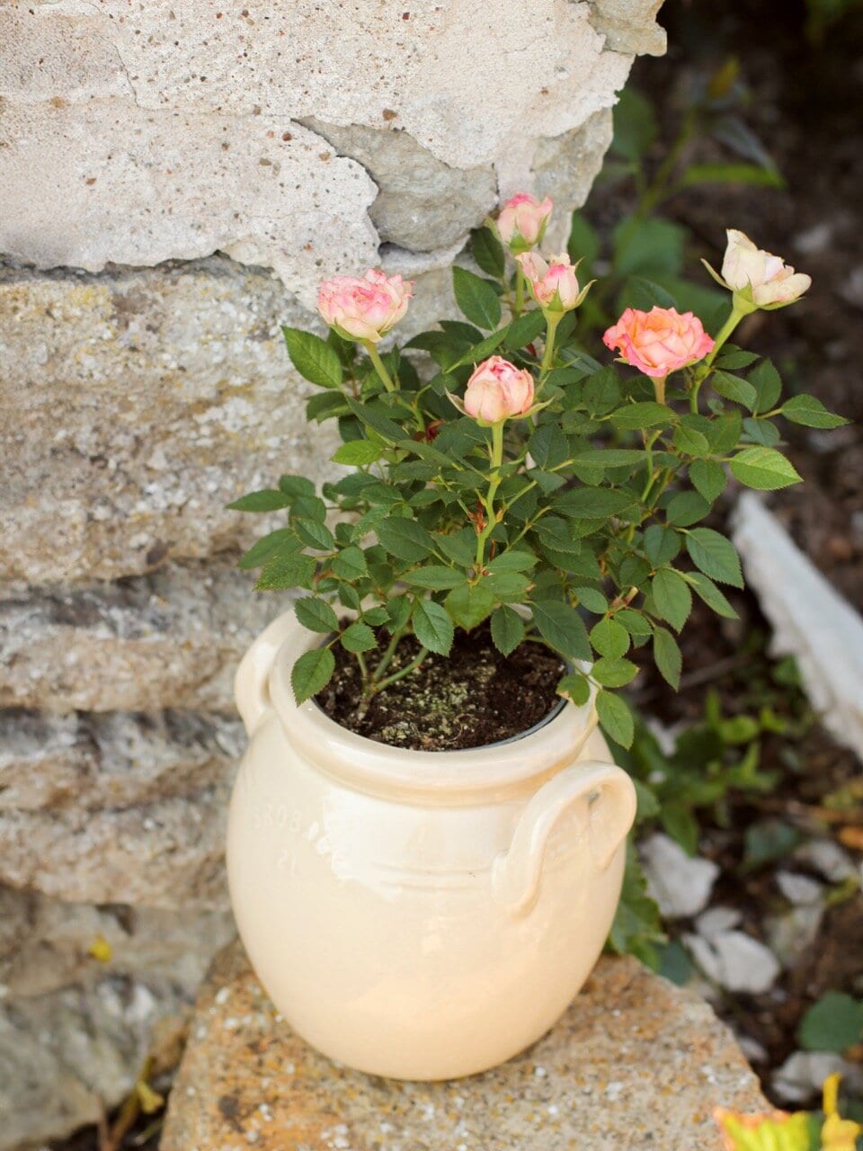 Pot Brobacka 2L Cream White High
