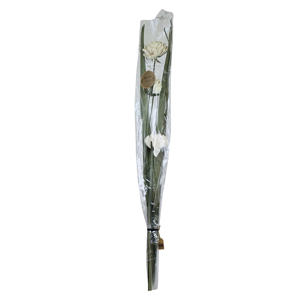 Dried Bouquet w. Large Flowers