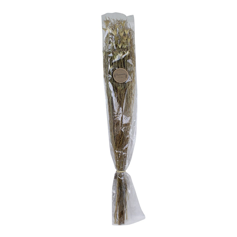 Dried Bouquet Black Caraway