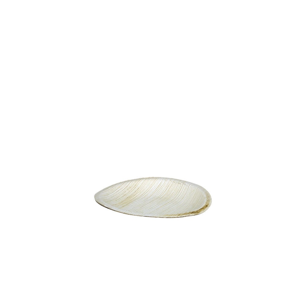Small Plate Areca Leaf 6-pack