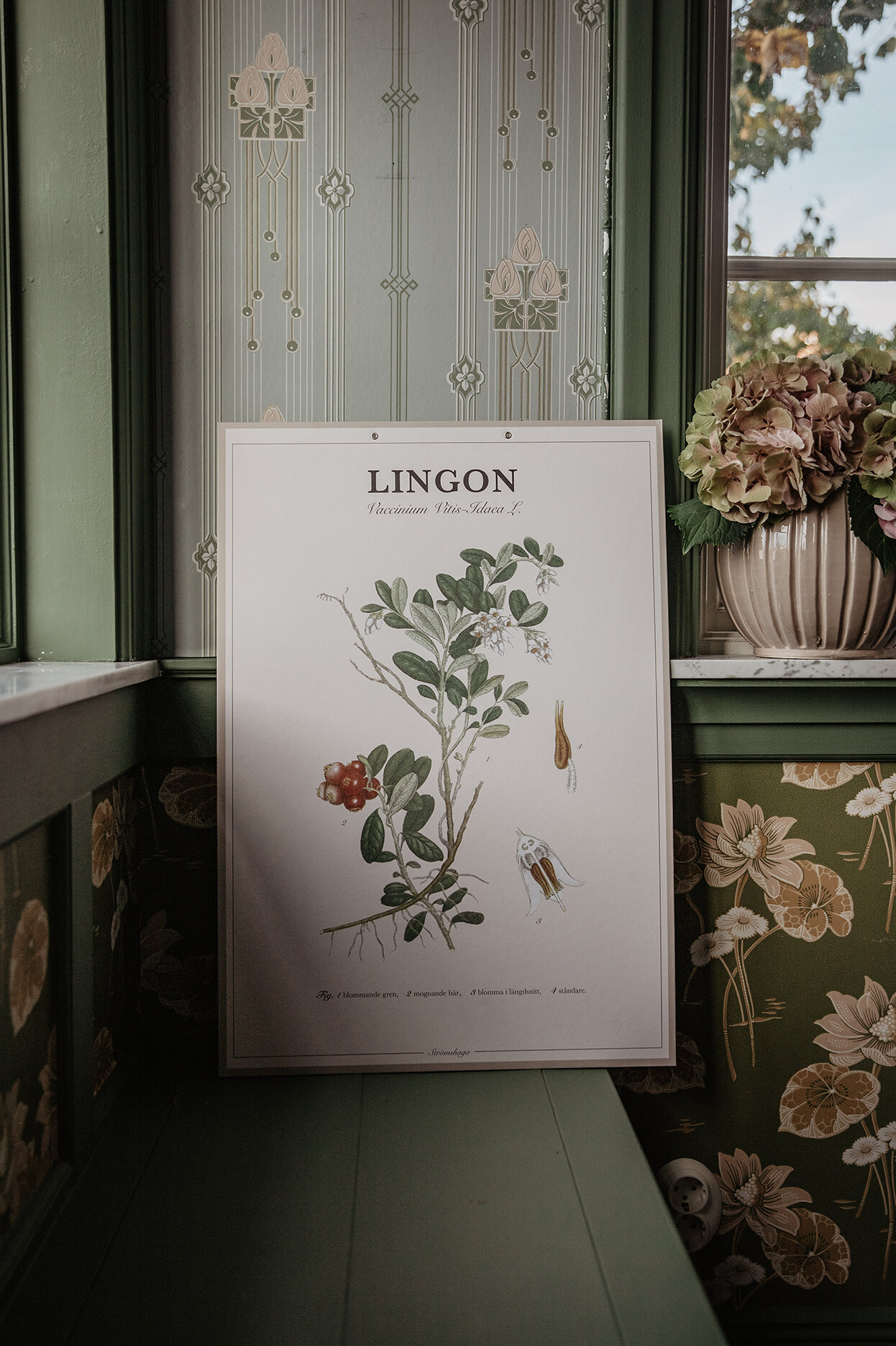 Poster Lingonberry