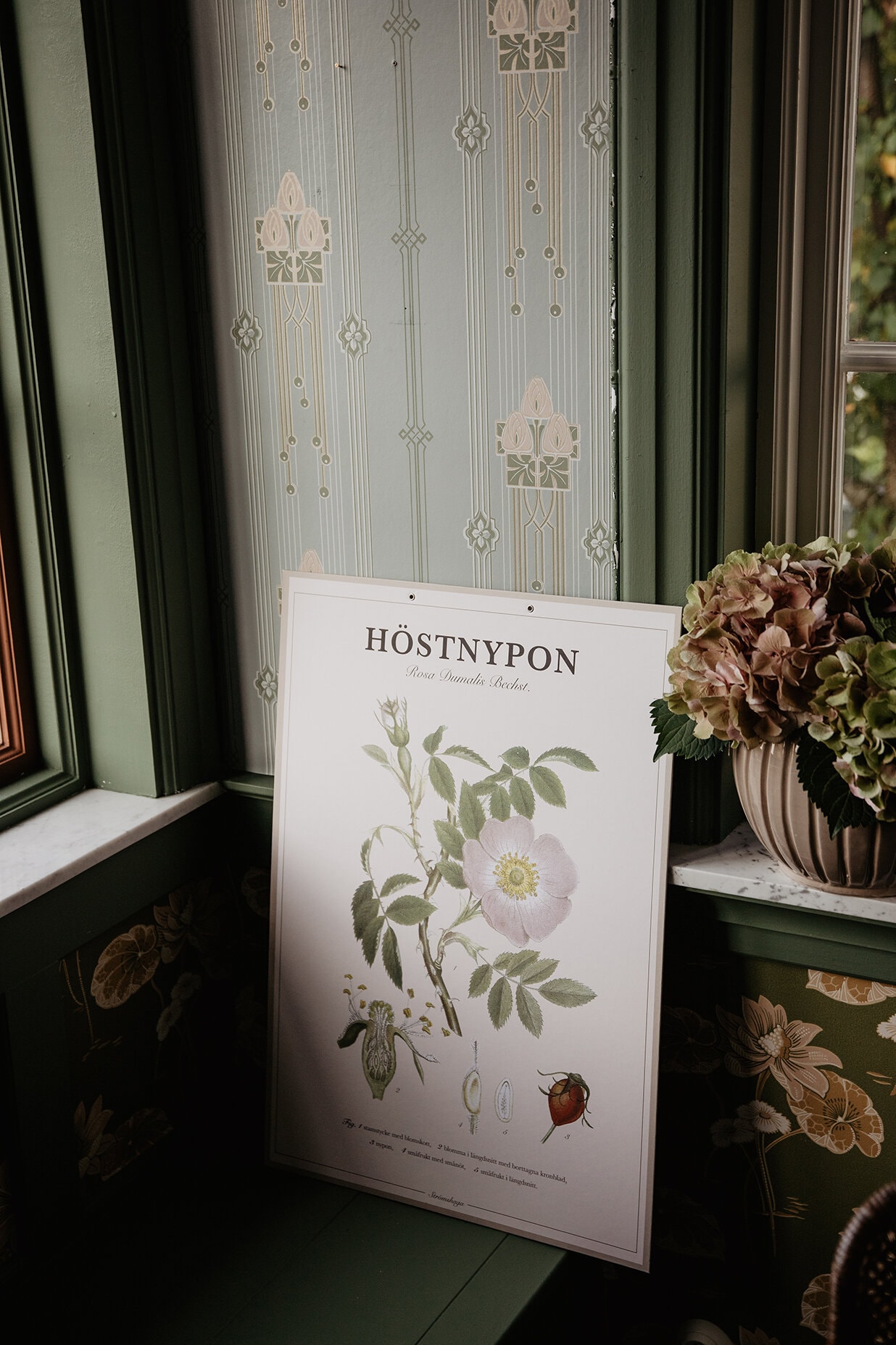 Poster Rose Hip