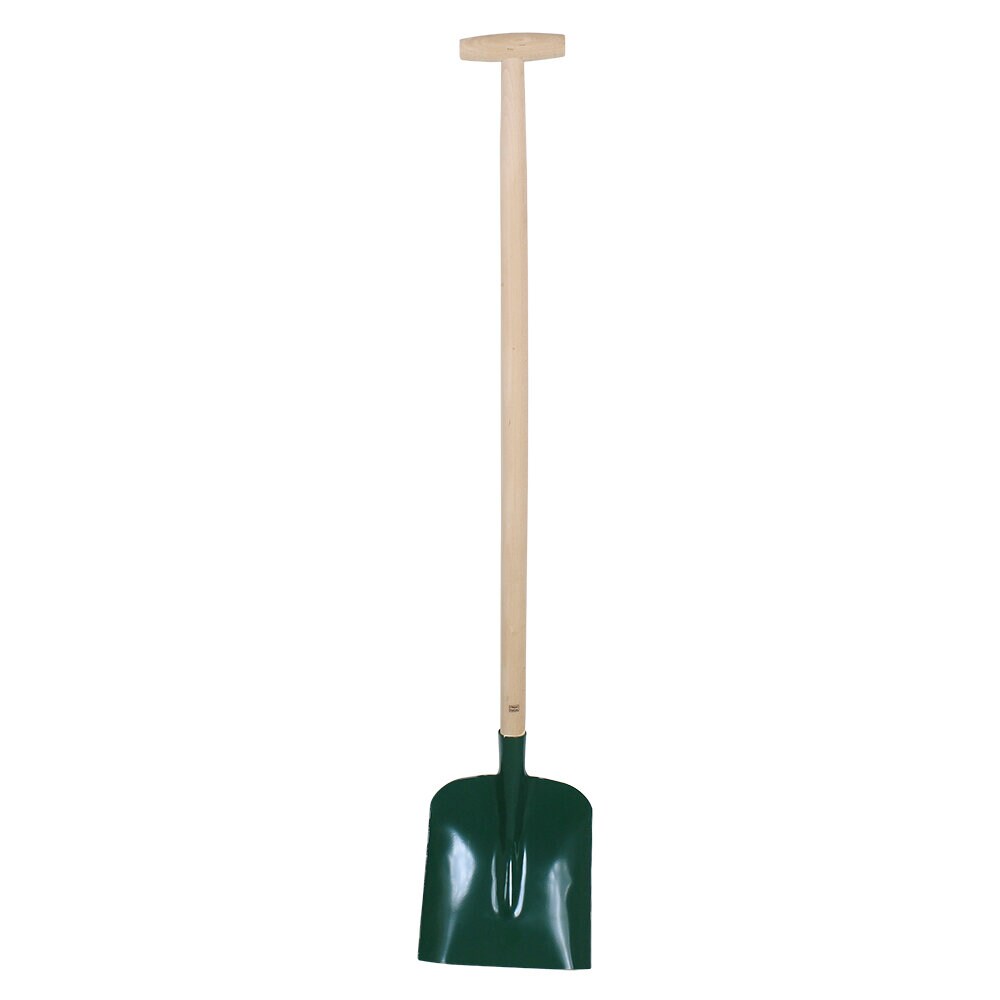 Shovel Floda Green