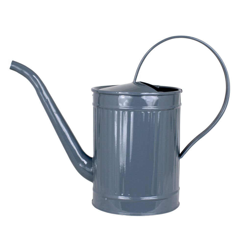 Watering Can Hugo Blue