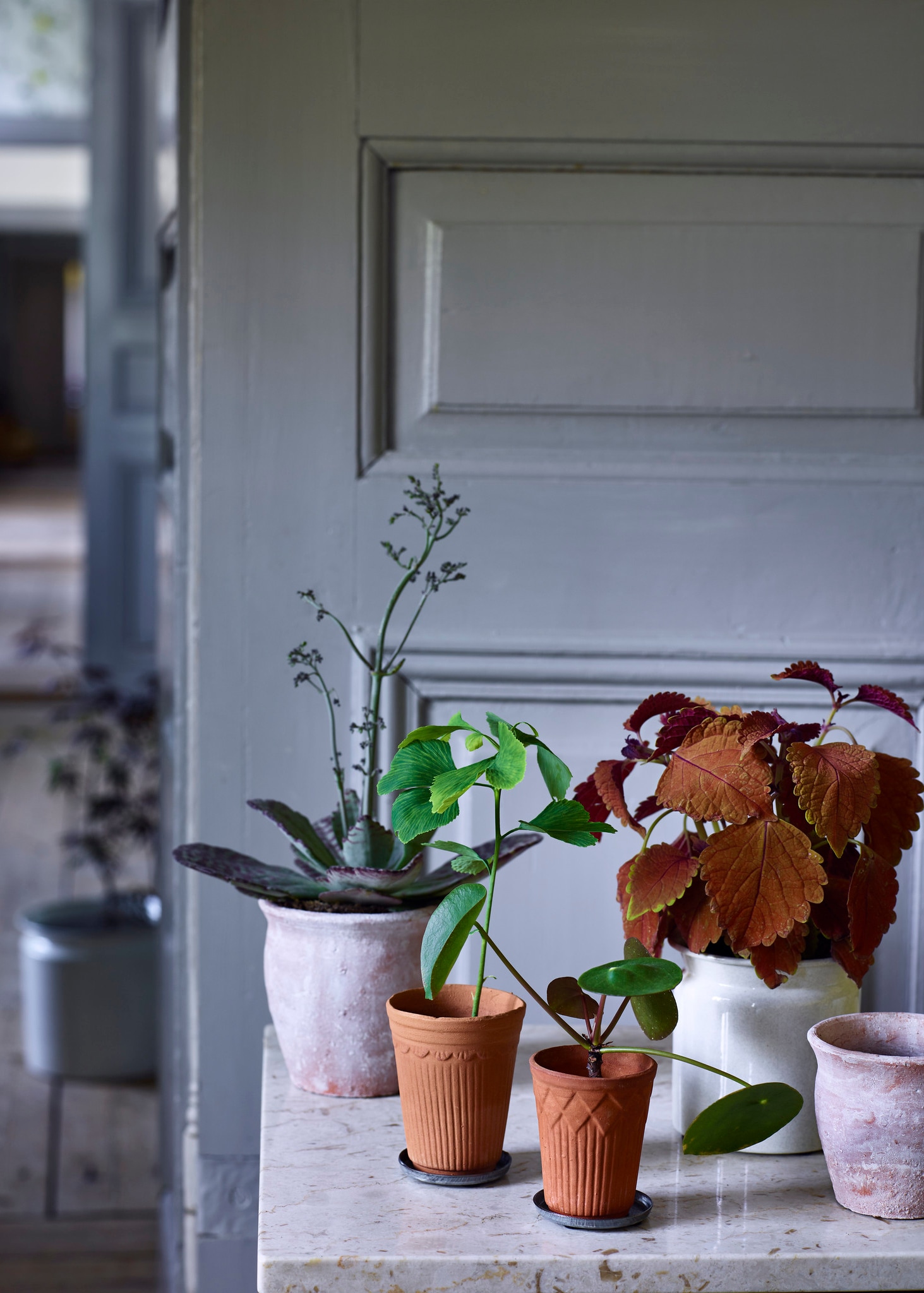 Tray for Small Clay Pots