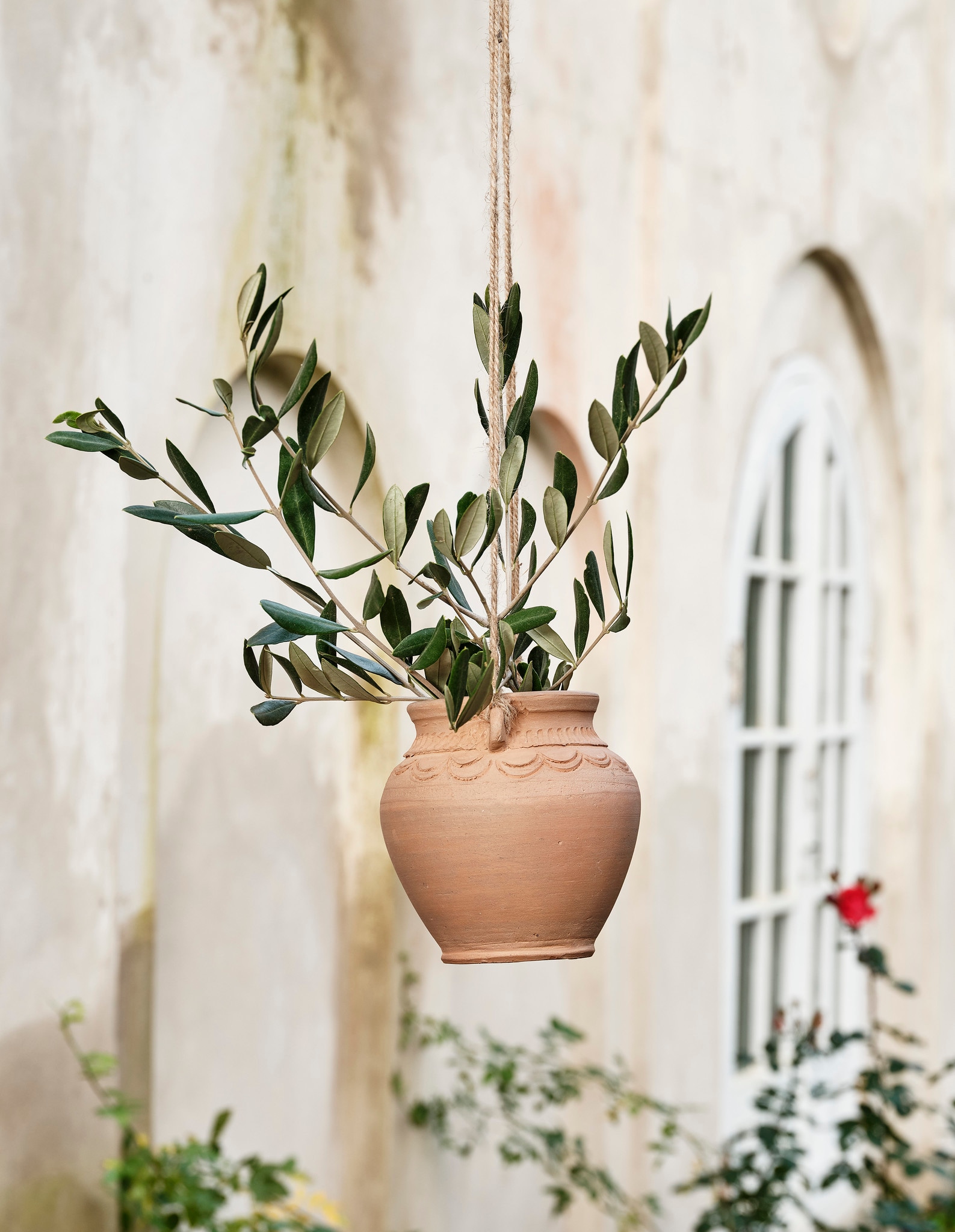 Hanging Planter Earthenware Terracotta