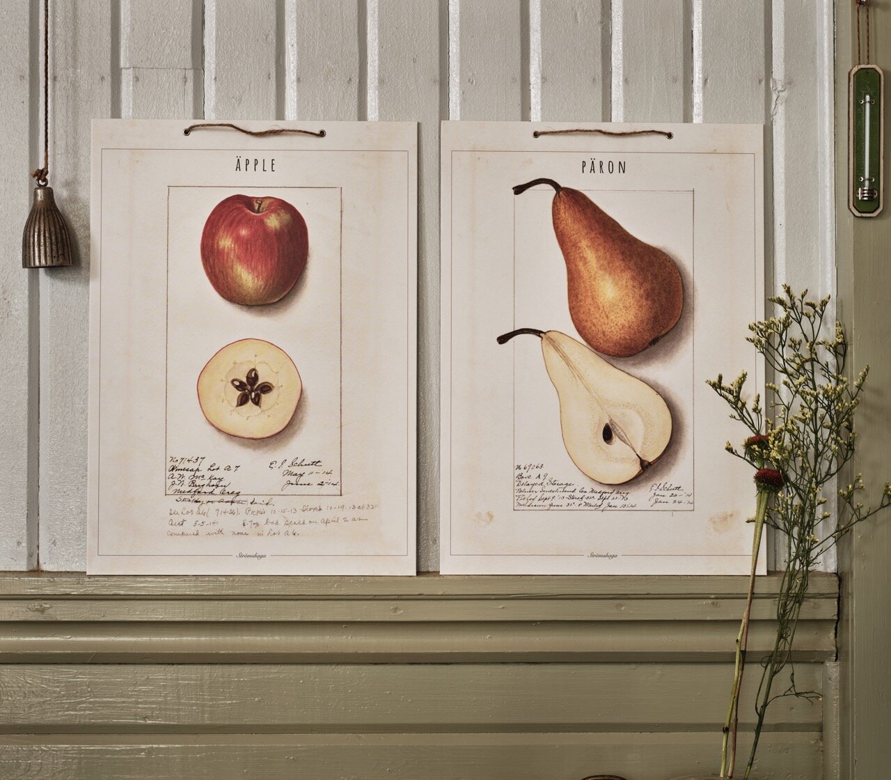 School Poster Pear