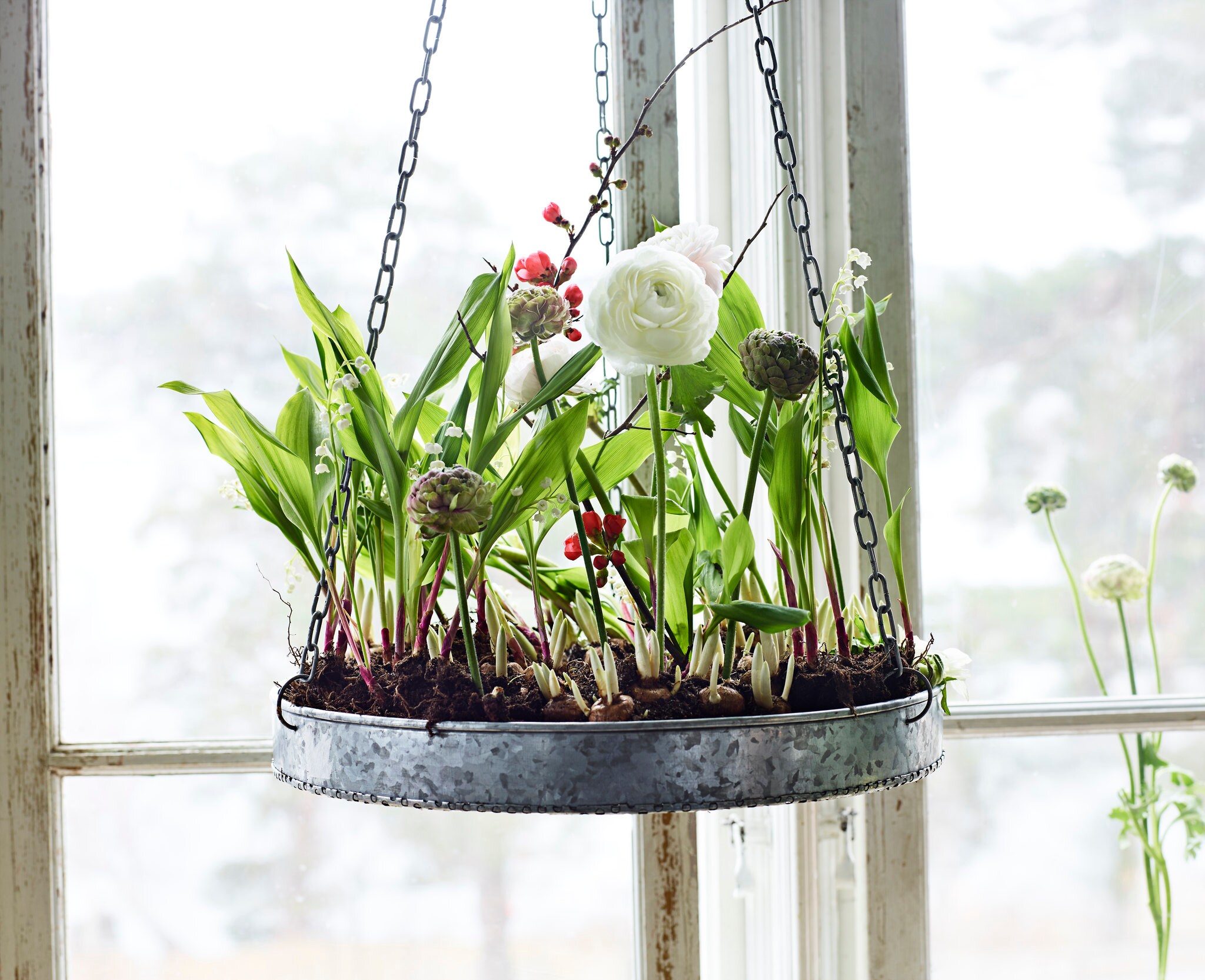 Hanging Tray Zinc