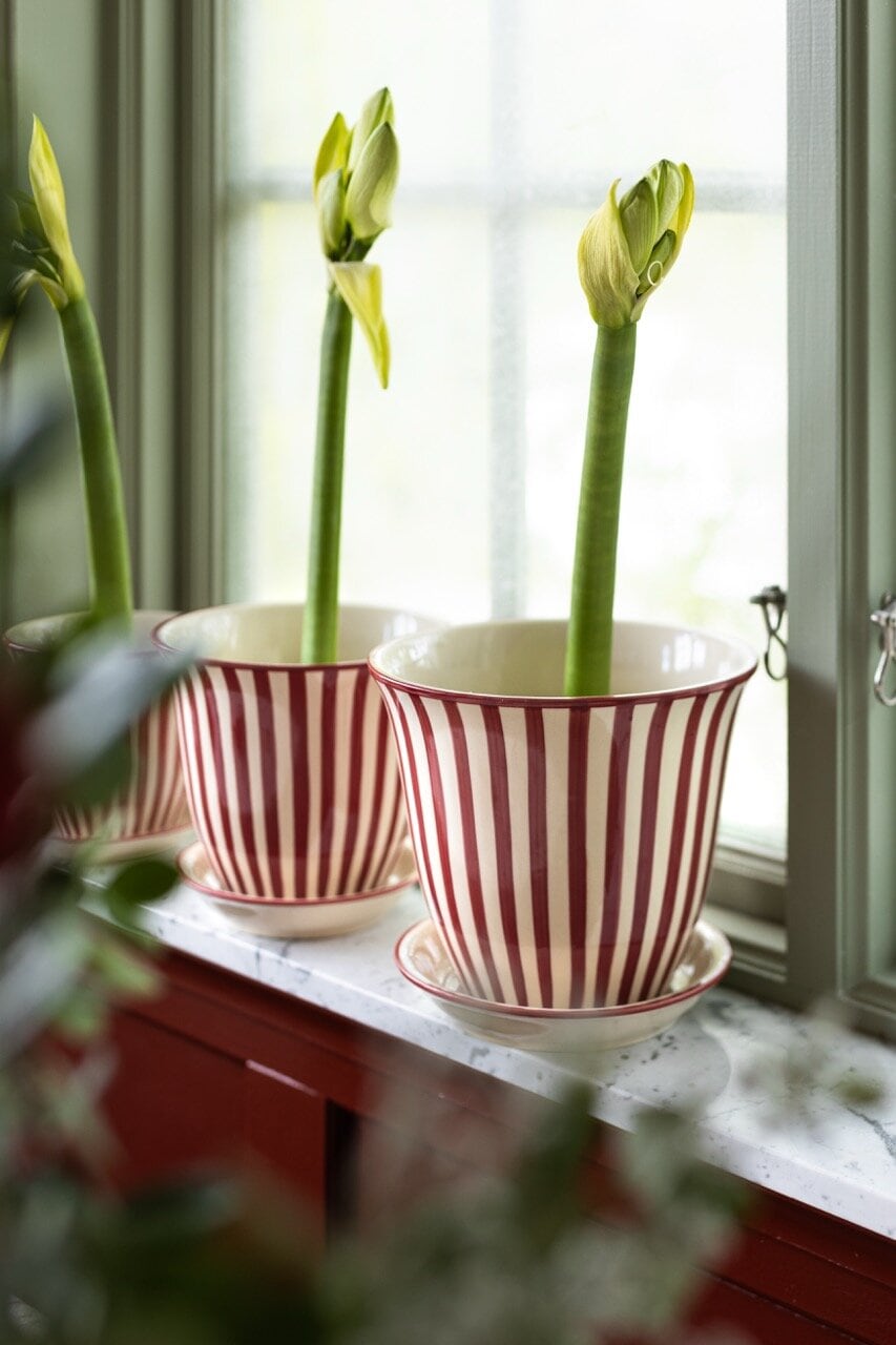 Pot Miriam 19 cm - Red