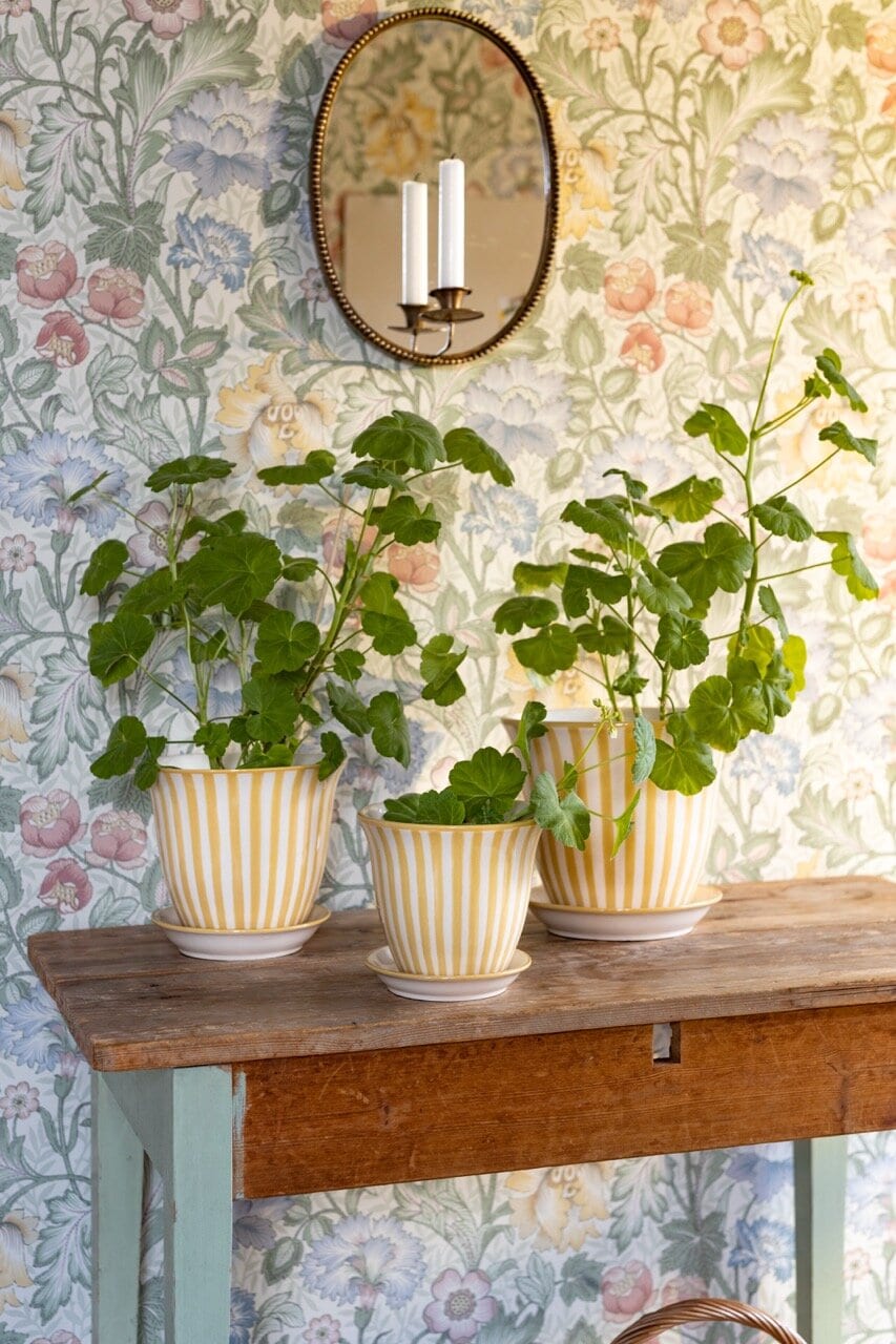 Kruka Miriam 22 cm Gul